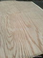 Rotary Cut Red Oak Veneer