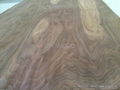 Rotary Cut Walnut Veneer