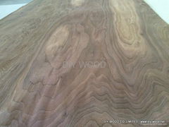 Rotary Cut Walnut Veneer