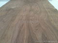 Rotary Cut Walnut Veneer 2