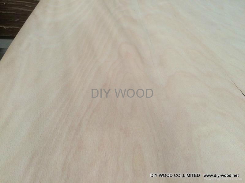 Rotary Cut Beech Veneer 2