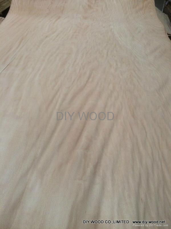 Rotary Cut Beech Veneer