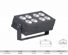拓龍新款模組戶外投光燈