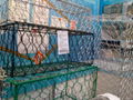 PVC Coated Gabion Basket 