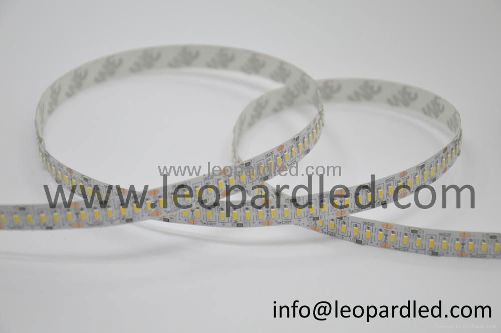 New Product 240Leds 10mm Wide SMD3014 Led Light Strip