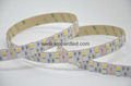 4 Color In One LED RGBW 5050 60Leds 24watts Rgbw Led Strip 1