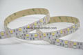 4 Color In One LED RGBW 5050 60Leds 24watts Rgbw Led Strip