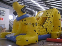 Large Amusement Park Inflatable Water Slide