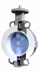 TEFLON LINED BUTTERFLY VALVE