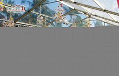 500 People Wedding Tent with Clear Walls and Roof for Sale