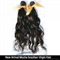 5A Grade natural wave brazilian human hair 1