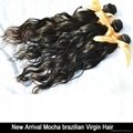 5A Grade natural wave brazilian human hair 4