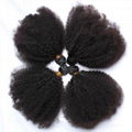 Wholesale Virgin Hair Mongolian Afro Kinky Curly 6A Grade 100% Human Hair Weft 1