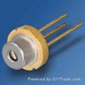 445nm Blue laser diode 2