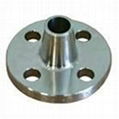   Ansi FLANGES 