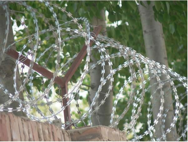 Barbed wire mesh 3