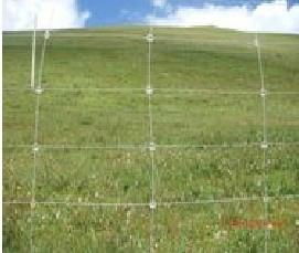 Grassland fence