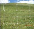 Grassland fence