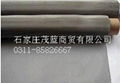 Stainless steel flat netting 1