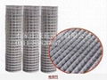 Welded wire mesh 1