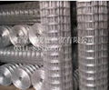 Welded wire mesh 2