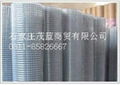 Welded wire mesh 3