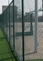 Chain Link Fence 1