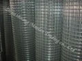 3/4 welded wire mesh