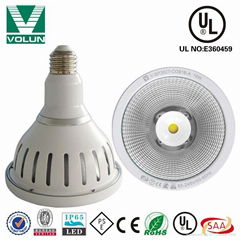 18W COB Waterproof LED Par38