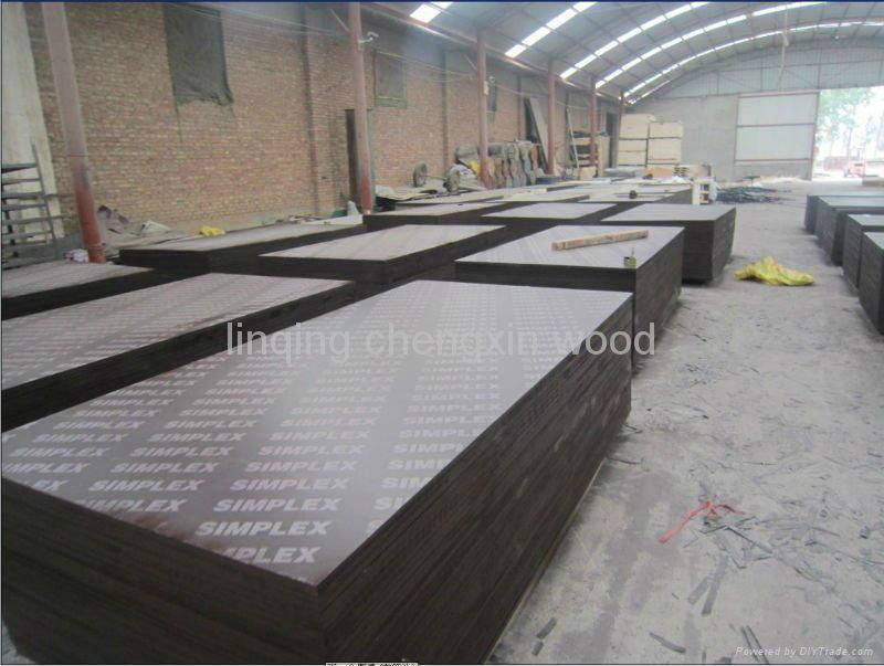 cheap price good quality black film faced plywood 1220*2440*8mm factory  2