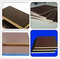 hardwood core film faced plywood