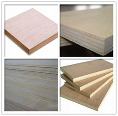 18mm phenolic plywood 