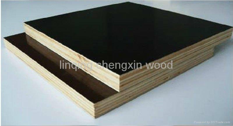 dynea brown film faced plywood 2