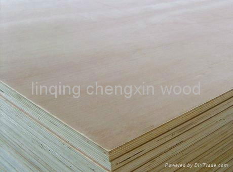 Marine plywood AAA grade  4