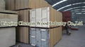 18mm film faced plywood 5