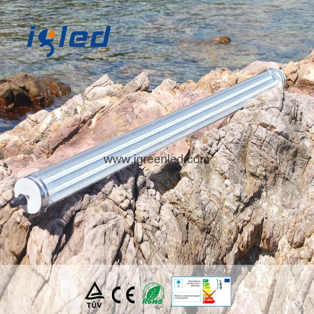 IP68 Tri Proof LED Light 20W and 30W Available in 600mm 2 foot  3