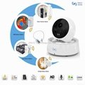 Sno WIFI IP PTZ Surveillance Camera with Alarm Detectors, Wireless