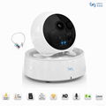 Sno WIFI IP PTZ Surveillance Camera with Alarm Detectors, Wireless 2