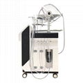 Skin Care Machine Beauty Equipment  4