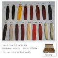 Hair Swatches