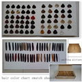 Hair Swatches