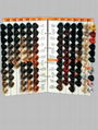 Hair Color Chart maker