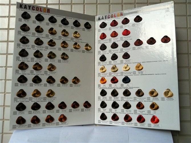 Customized Hair Color Catalogue - chart-005 - OEM (China Manufacturer ...