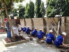 Plasterers from Vietnam Manpower