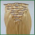 Clip on Hair Extension 2