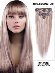 Clip on Hair Extension