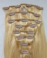 Clip on Hair Extension 3