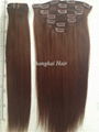 Clip in hair Extension Hair Extension Supplier  4