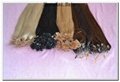 Micro Loop Ring Hair Extension China supplier 1