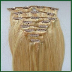 Clip in Human Hair Extension